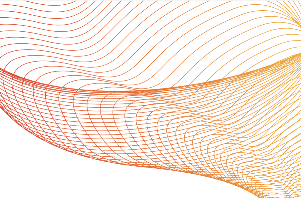 Report on the situation of serious violations of the rule of law and of fundamental rights and freedoms in Ecuador